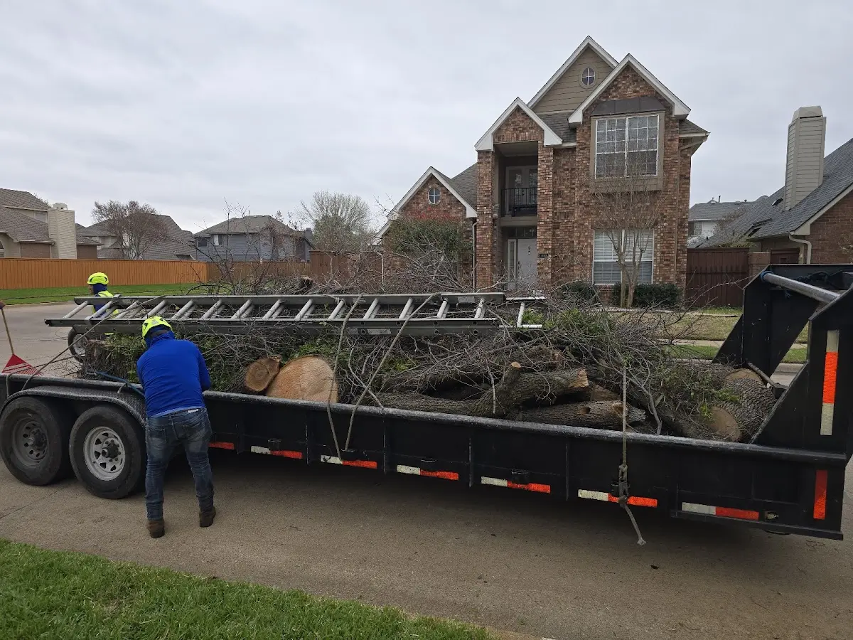 Expert Tree Fertilization with proper safety equipment in Dailey